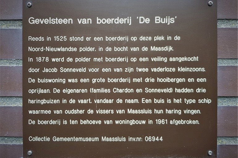 Historie gevelsteen De Buis